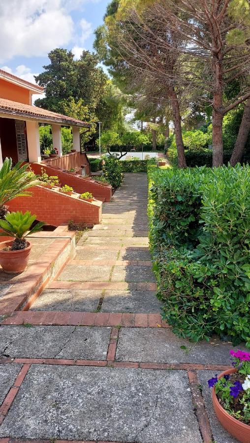 Villa Degli Agrumi 巴勒莫 外观 照片